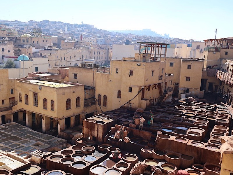 Vineyards, monkeys and Fes city visits – Asilah,&nbsp;Morocco